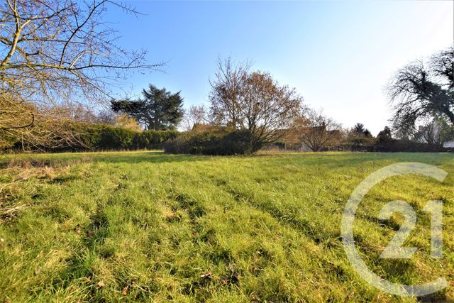 terrain - CRESSONSACQ - 60